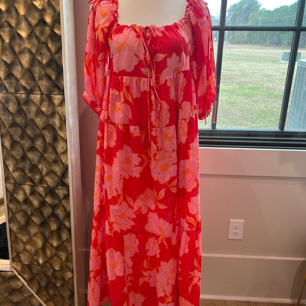 Olivaceous Red and Pink Dress